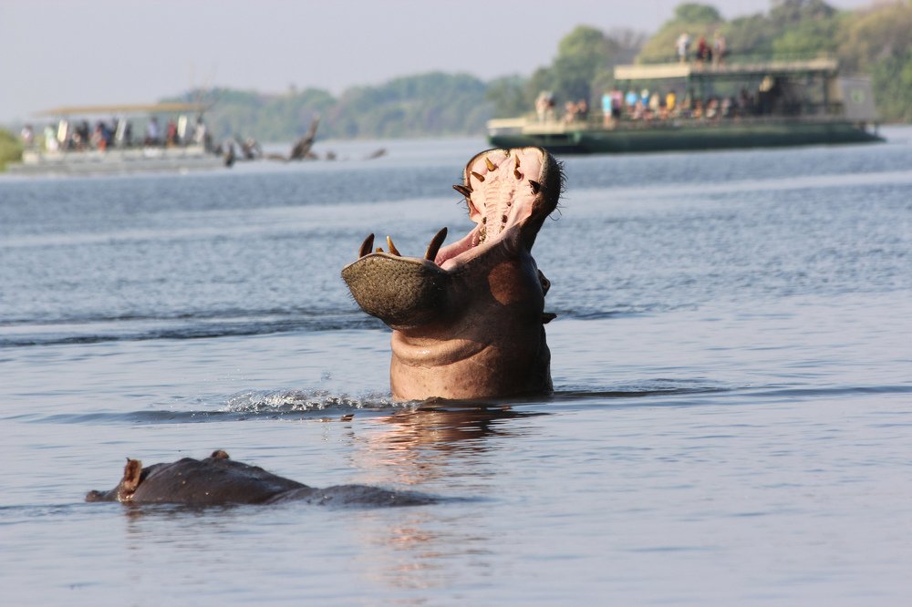 Photograph by klara Neikov