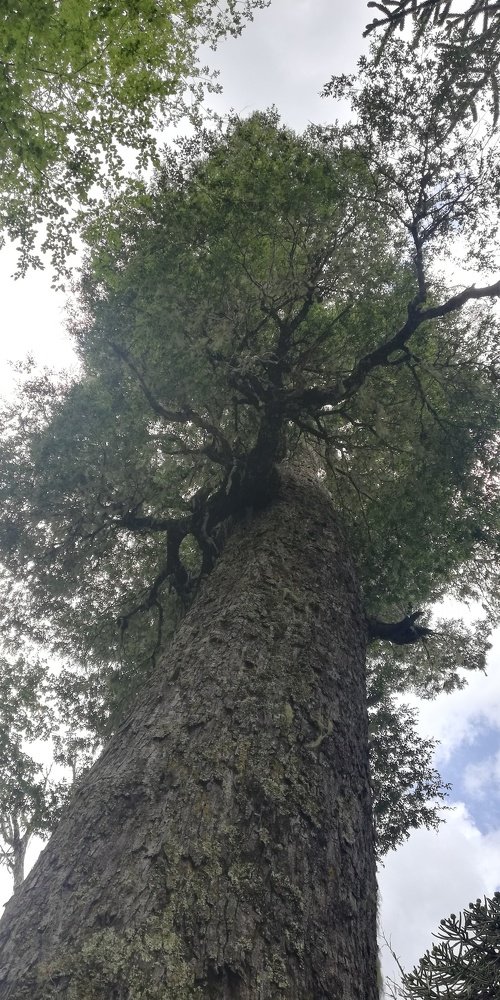 Photo #4461675