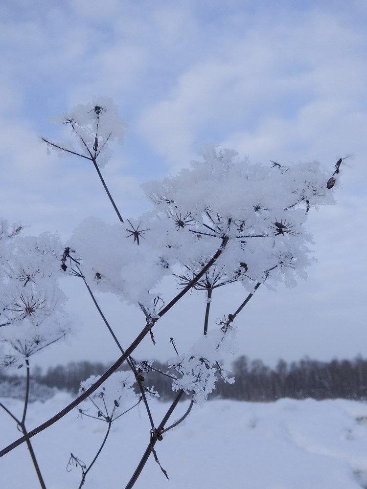 Photograph by Оксана Зяблова