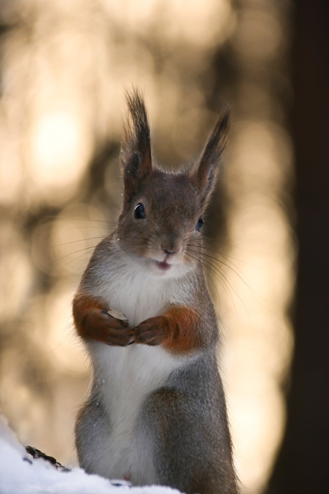 Photograph by Наталья Гайдукевич