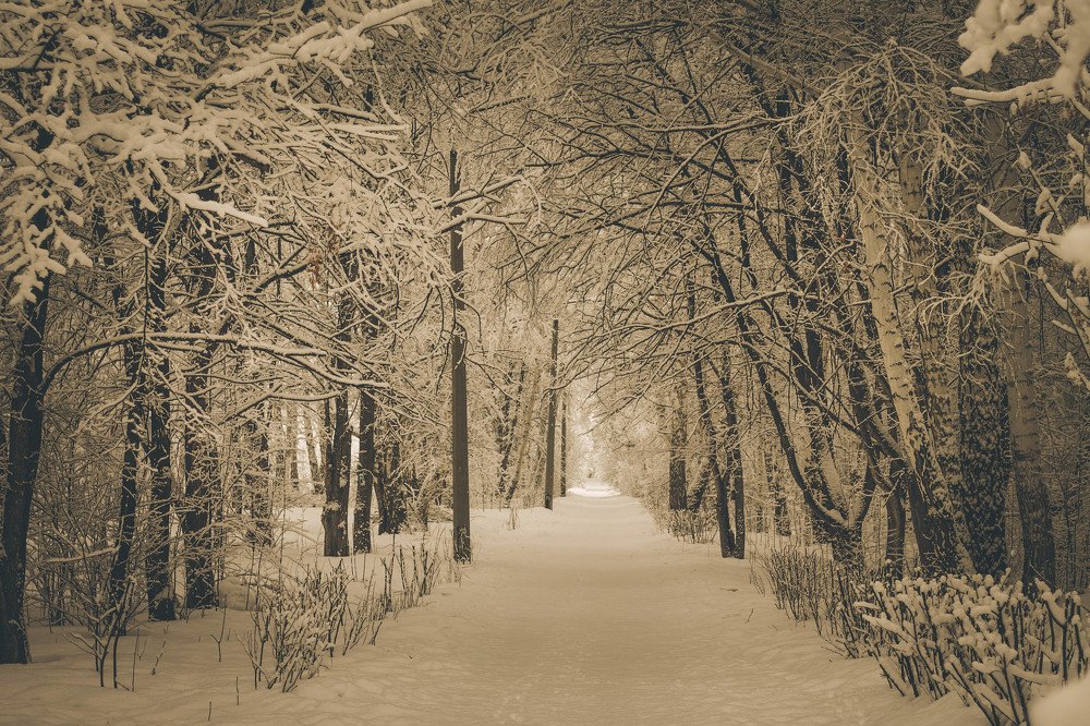 Photograph by Татьяна Гатиятуллина