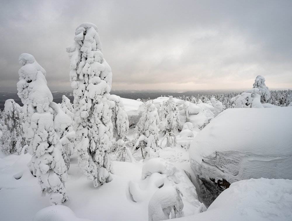 Photograph by Юрий Чернов