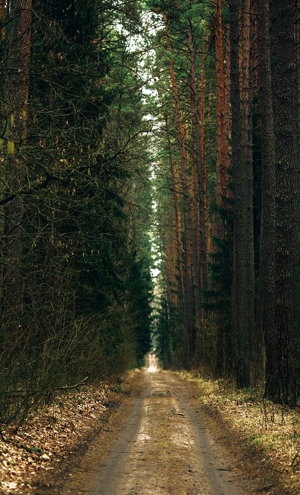 Photograph by Ирина Малина