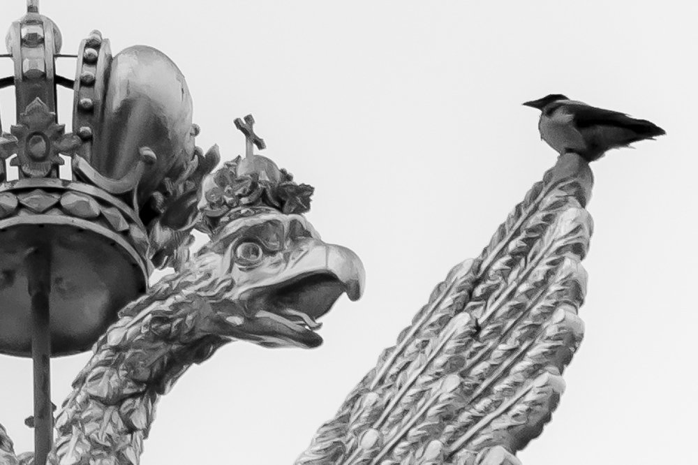 Птичий грипп - это вам не коронавирус!