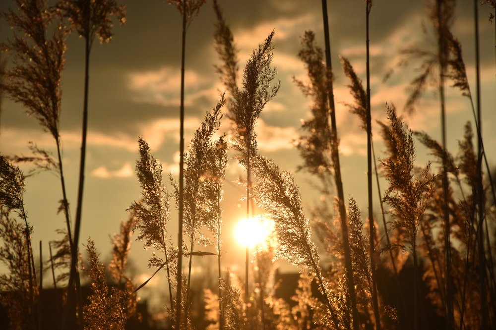 Photograph by Mesaros Cila