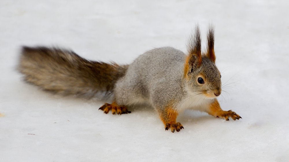 И ХОЧЕТСЯ И БОЯЗНО