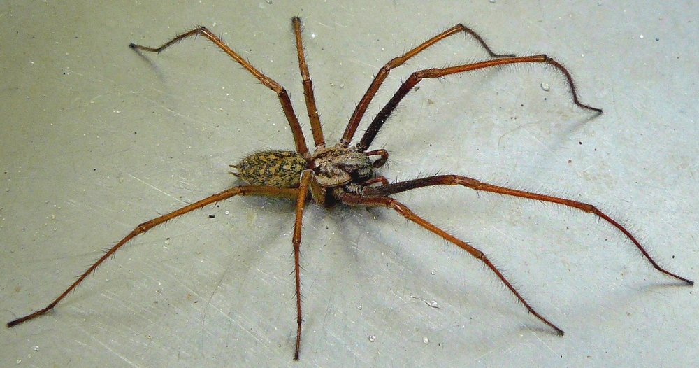 Photograph by леонид натапов