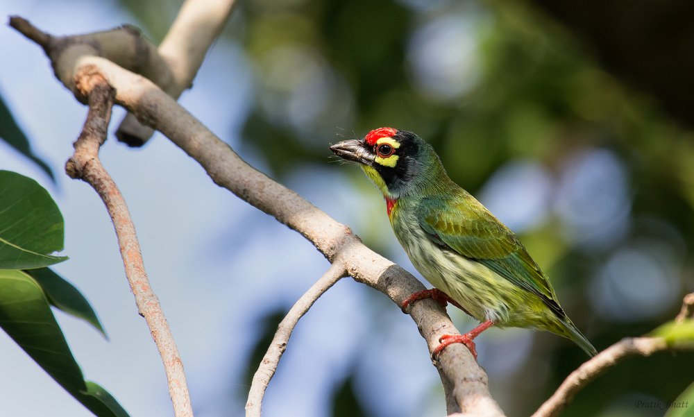 Photograph by Pratik Bhatt