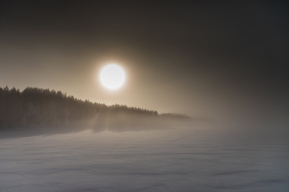 Утренний туман