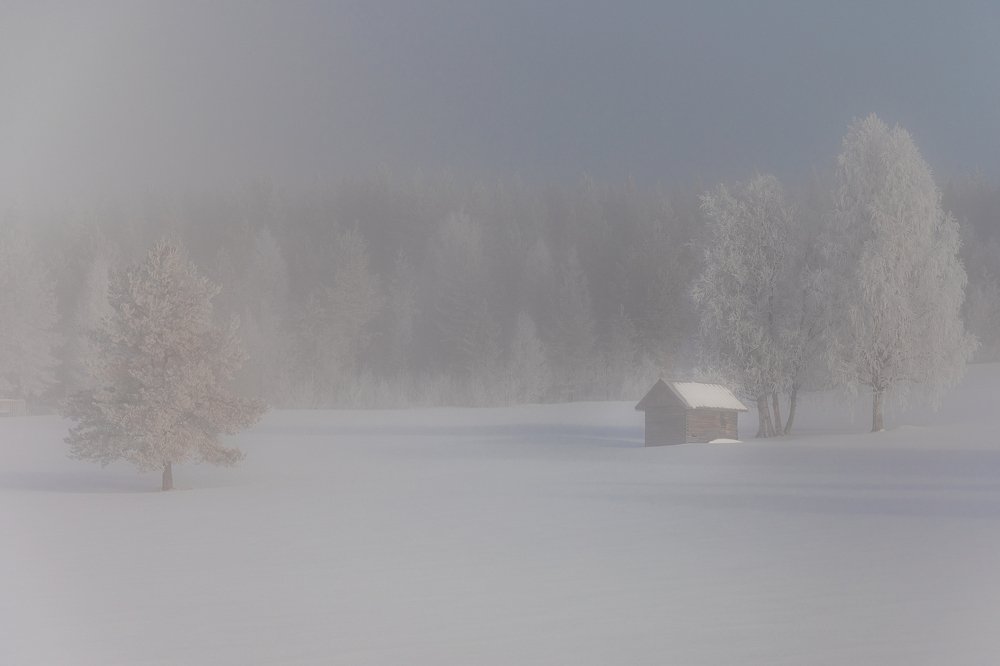 Утренний туман
