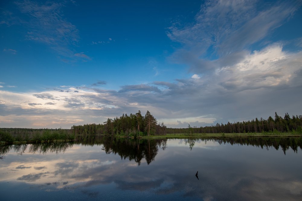 Photograph by Андрей Сериков