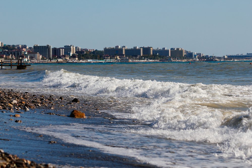 У Черного моря!