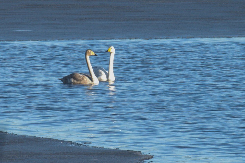 Photograph by Sergei Karjula