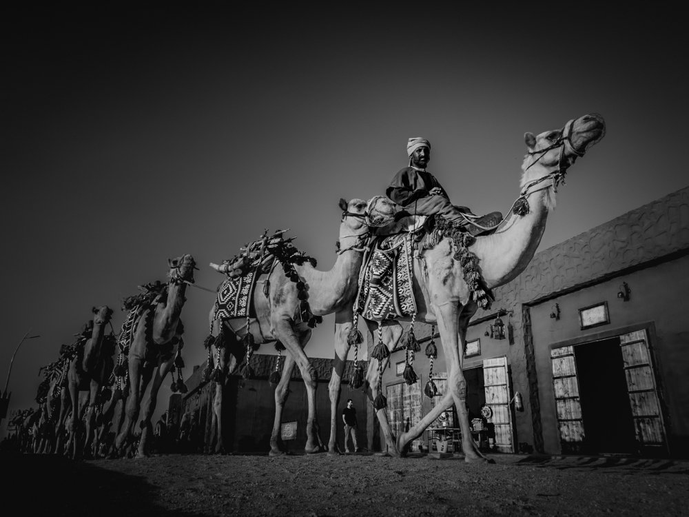 Photograph by Shady Kanaan