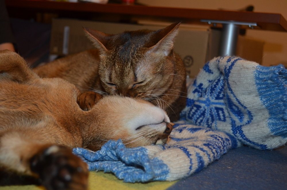 Photograph by Андрей Постников