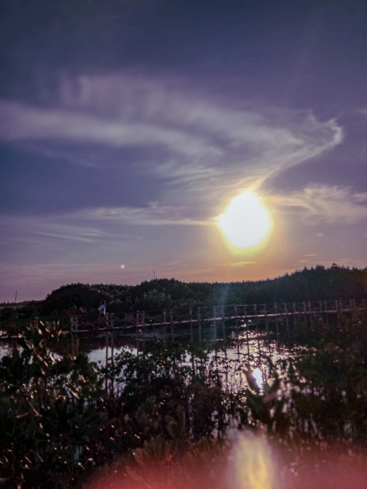 Setting the Sunset