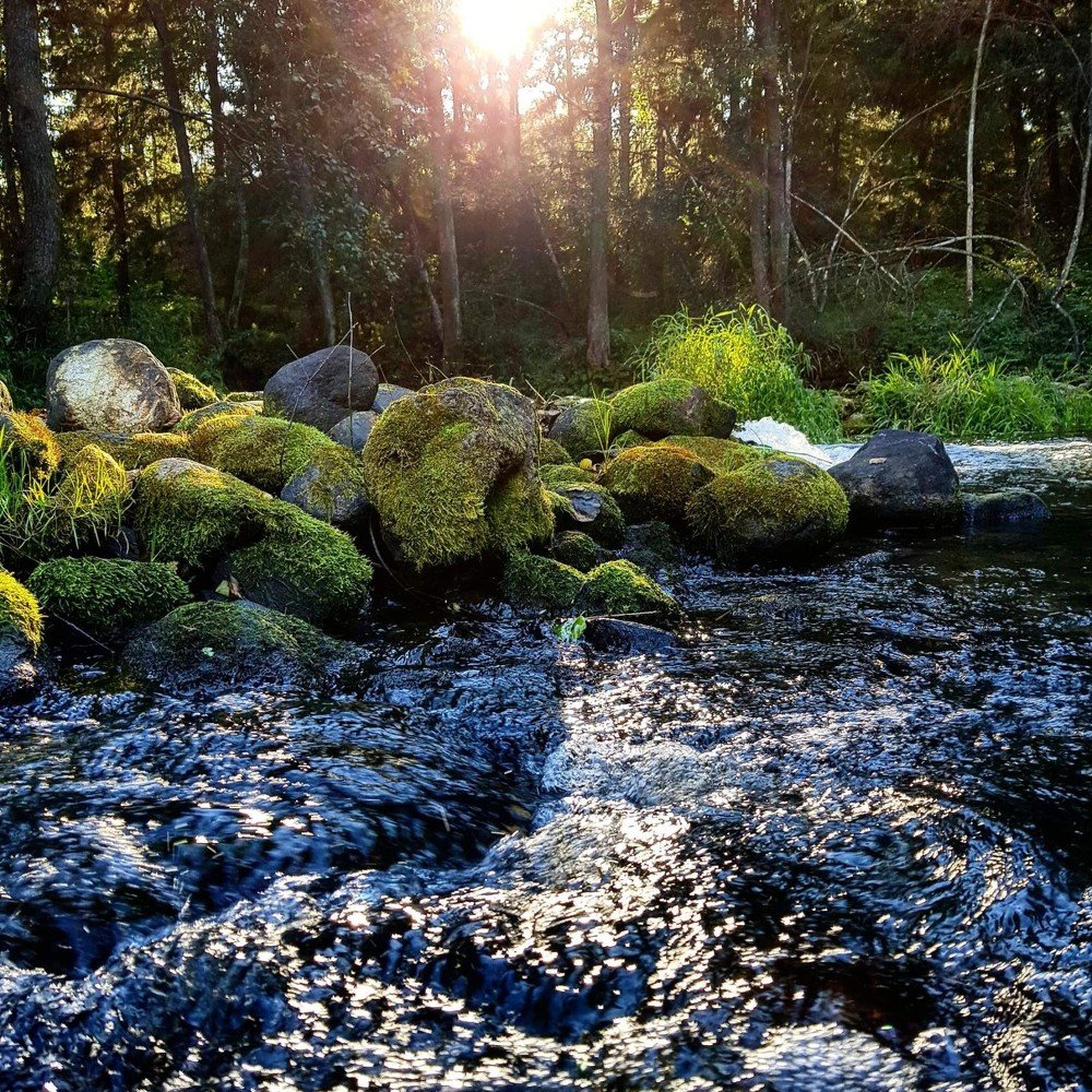 Photograph by Елена Наумова