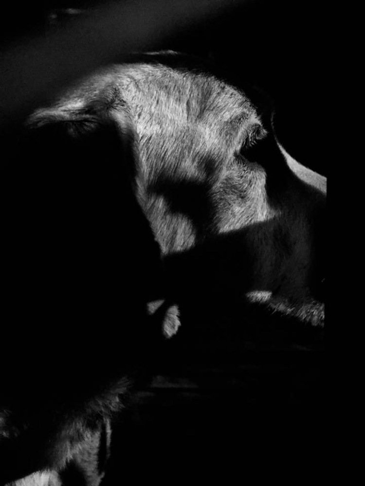 Photograph by Cinthia Ara