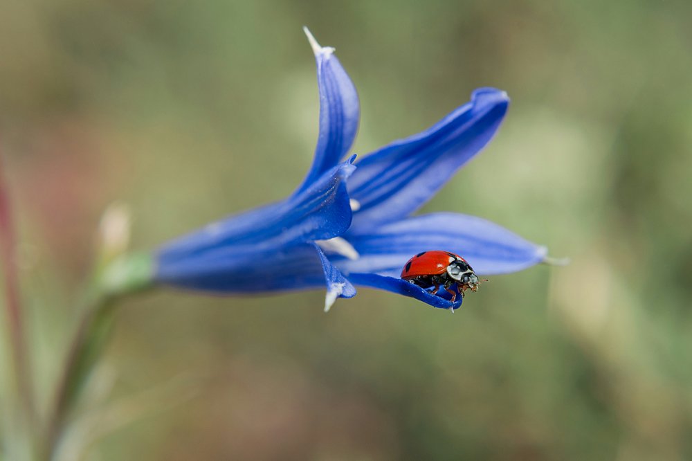 Photograph by Mahdi Sarikhani