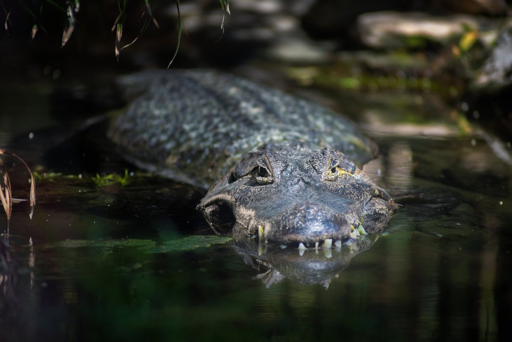 Photograph by Дмитрий Петренко