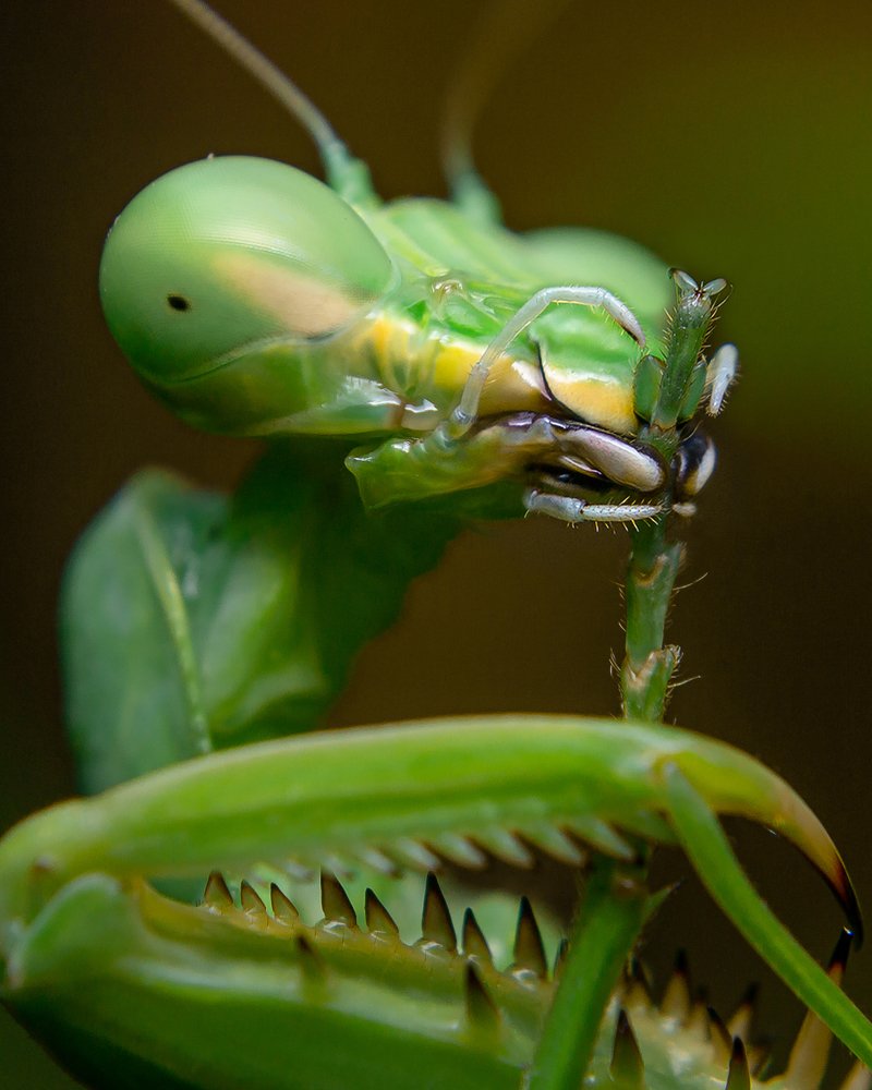 Photograph by Jerian Dale V. Figueroa