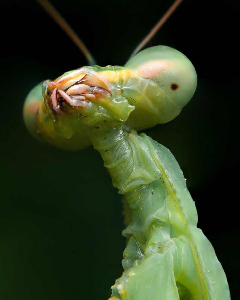 Photograph by Jerian Dale V. Figueroa