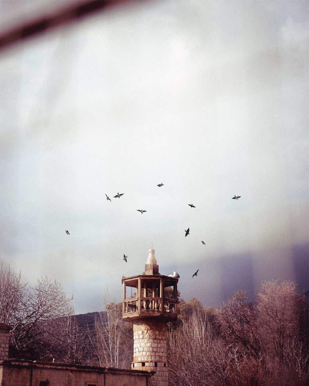 Photo #4462930