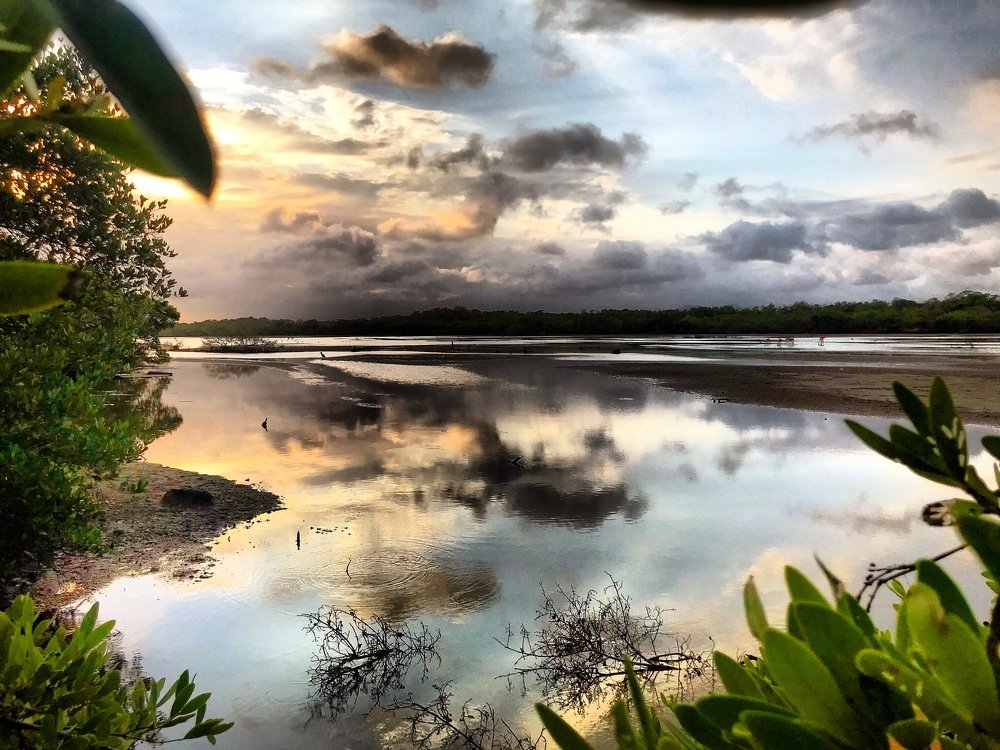 Una tarde en tucacas