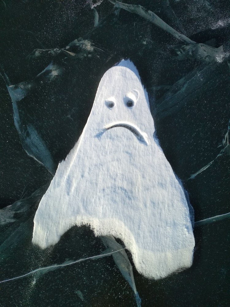 Photo #4462992