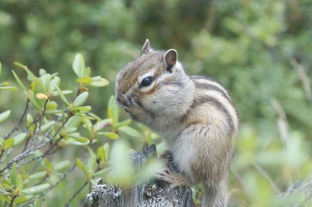 Photograph by Ольга Воронова