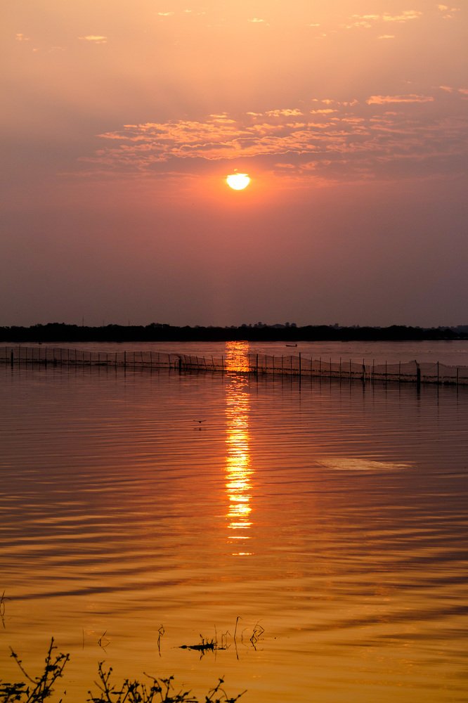 Photograph by Nyonika Rawal