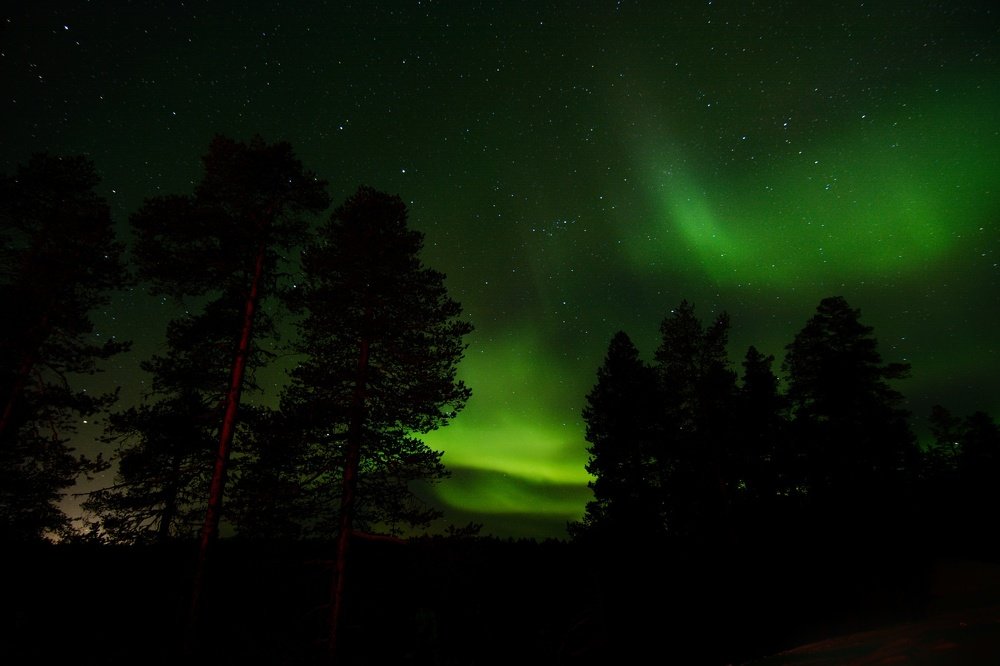 Photograph by Subhajit Saha