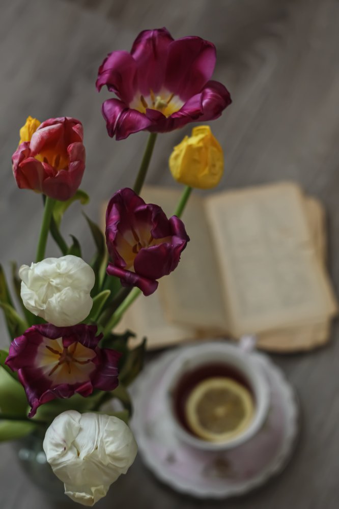 Photograph by Юлия Саморукова