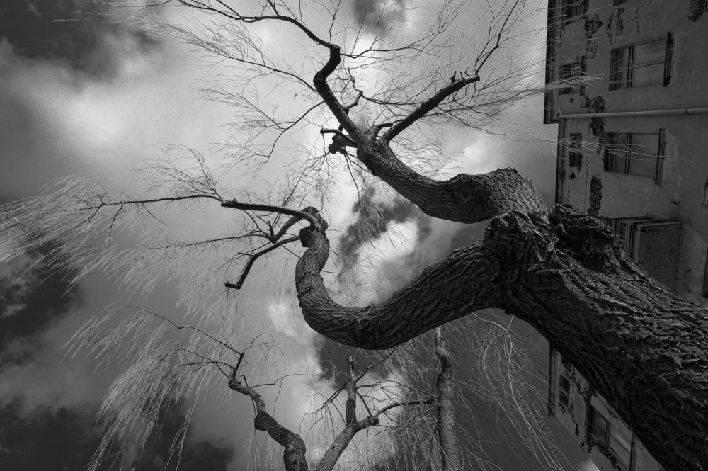 Photograph by Agnieszka Szadowiak