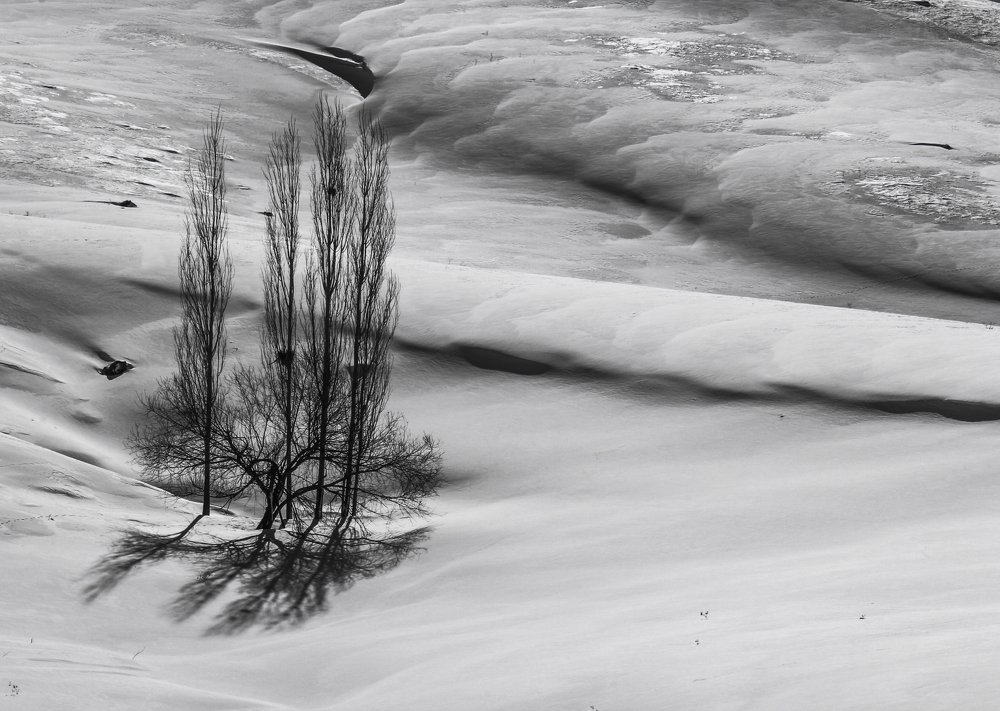 Photograph by Matineh Ahmadi