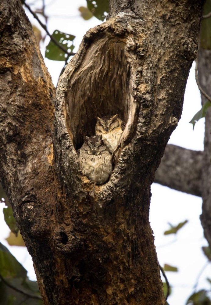 Please don't disturb