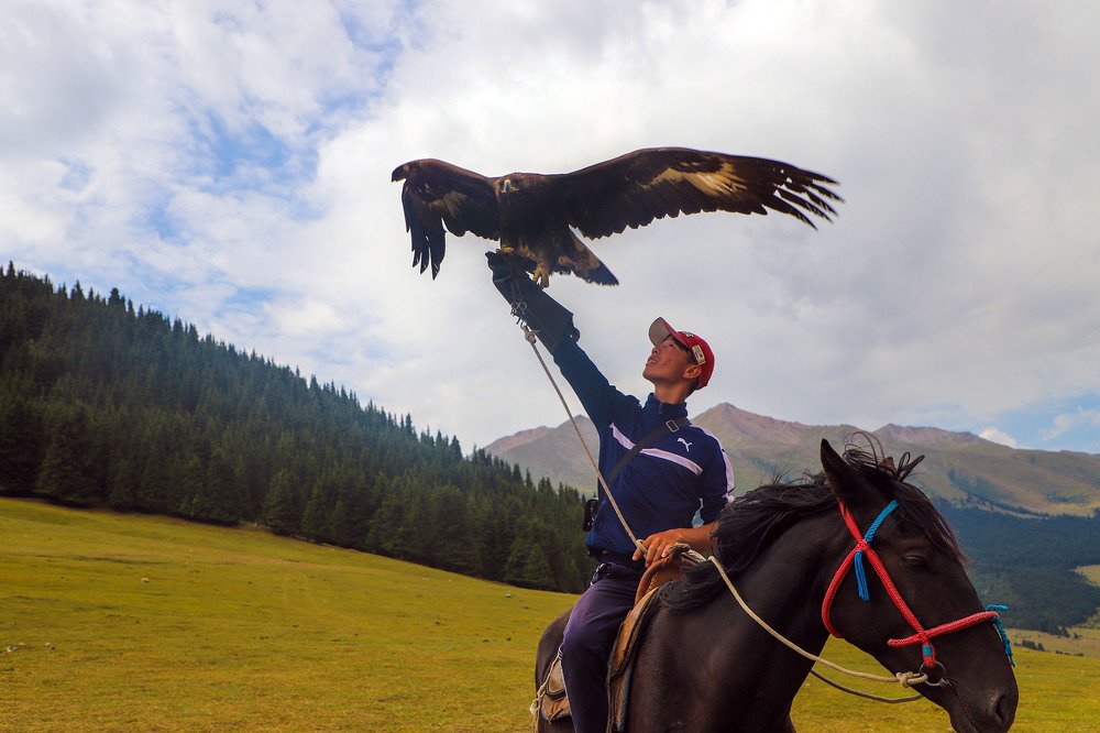 Photograph by Хамдамжон Мамадалиев