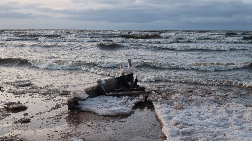 Photograph by Алина Голубева