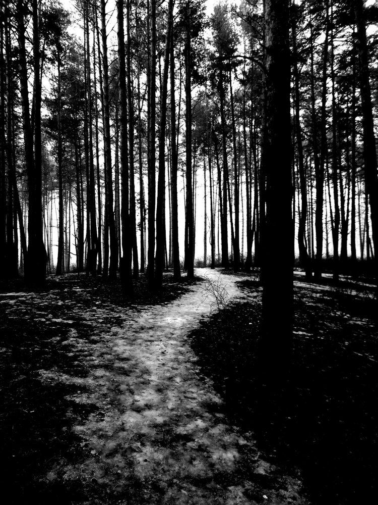 Photograph by Диана Потапова