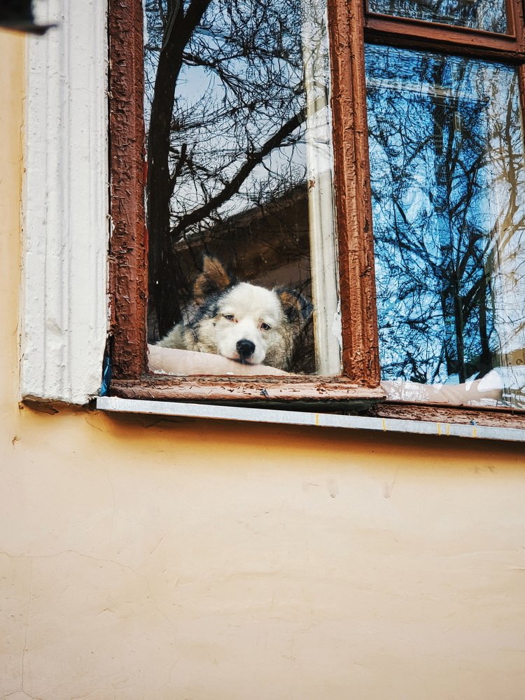 Photograph by Tatiana Potapenko