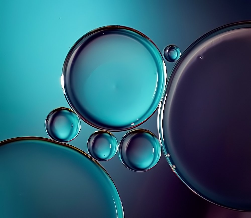 Photograph by linda laredj