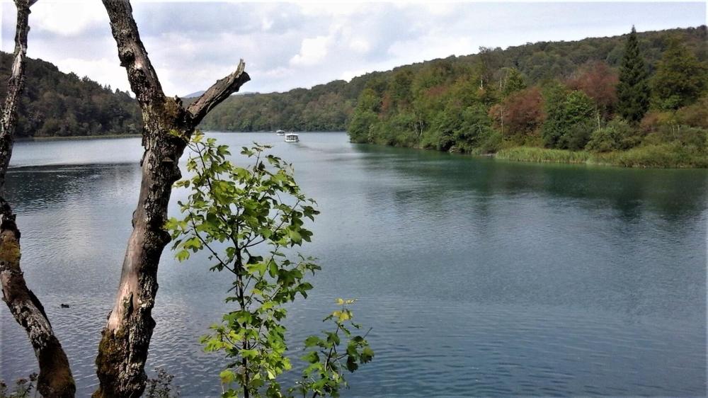 Photograph by Elena Petrenko