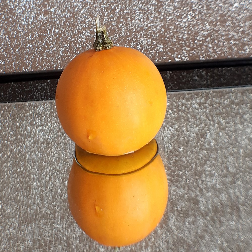 Photograph by Inessa Botasheva