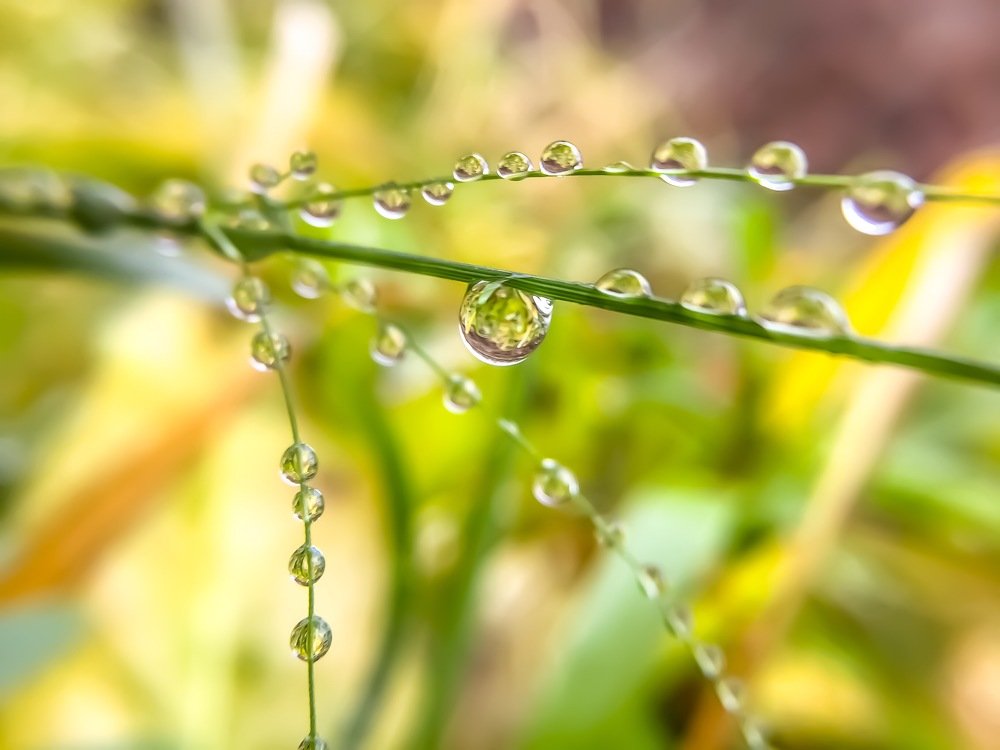 Photograph by Светлана Ишкина