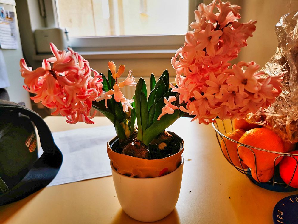 Photograph by Sandor Zoltan Gal