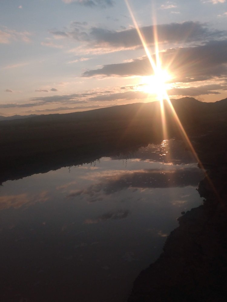 Reflective Beauty