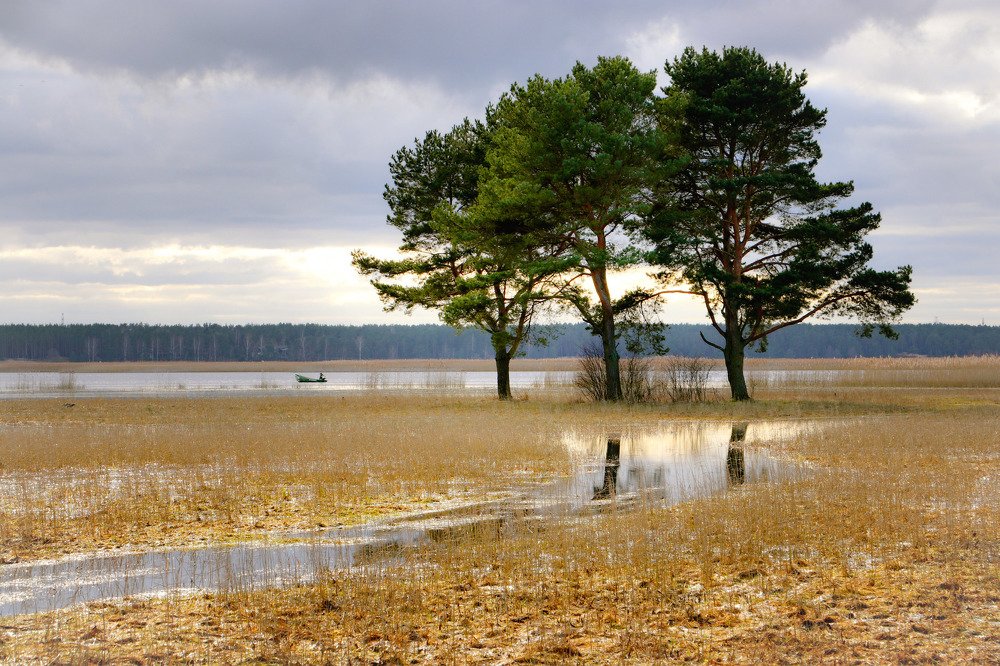 Прогулки по морю