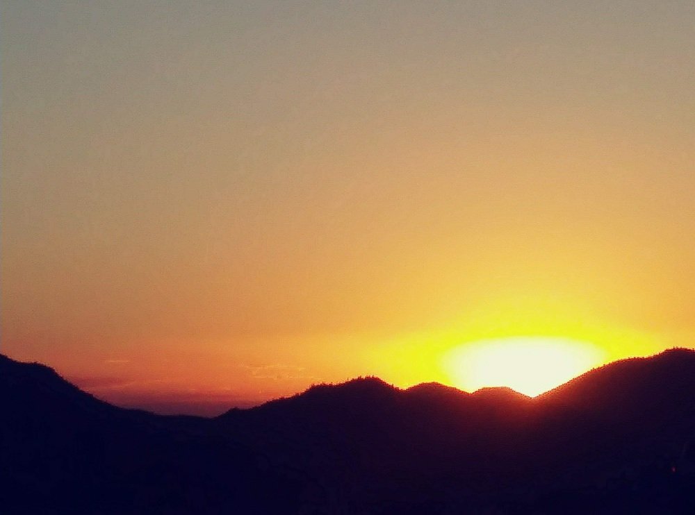Sunset Silhouette