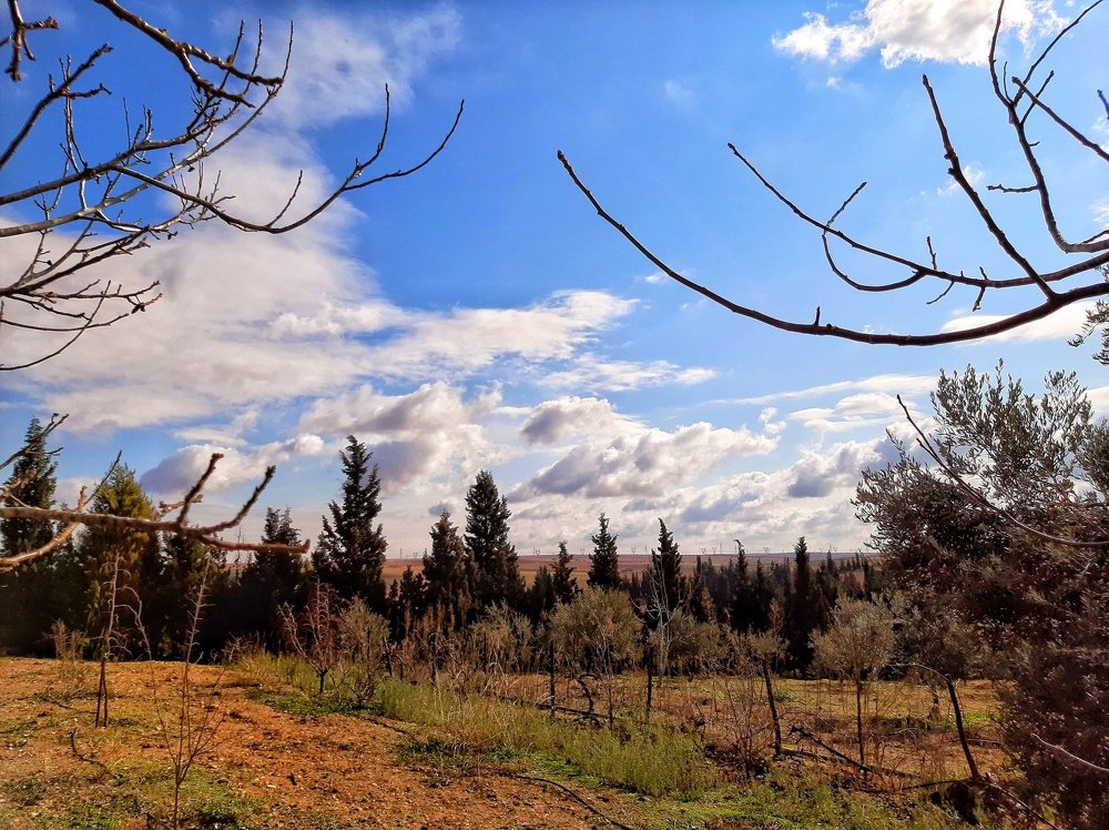 Photograph by Osama Khaleel