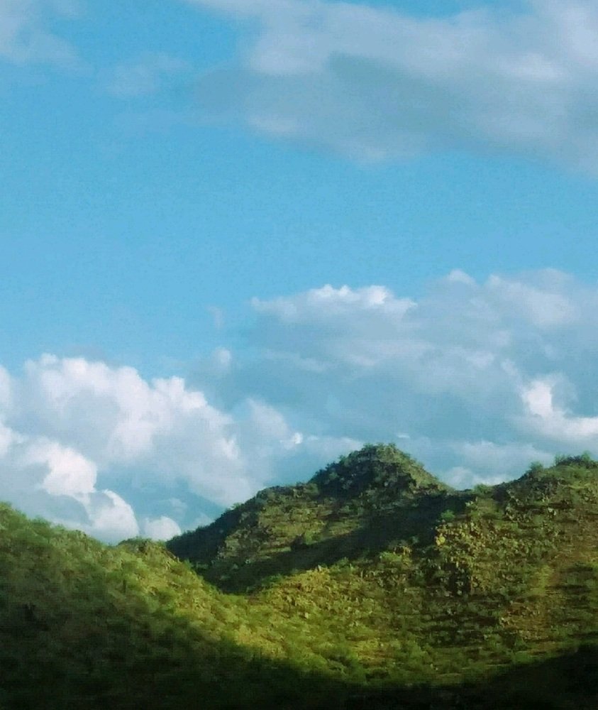 Scapes of Nature
